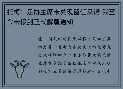 托梅:足协主席未兑现留任承诺 我至今未接到正式解雇通知